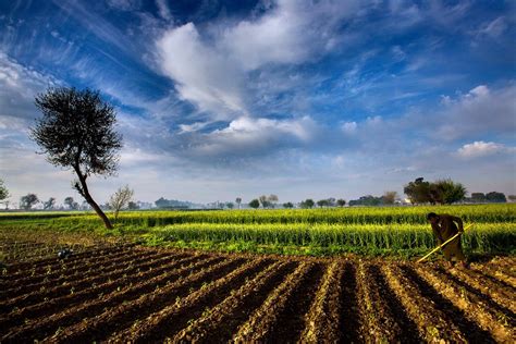 4,000+ Free Agriculture Background & Agriculture Images .